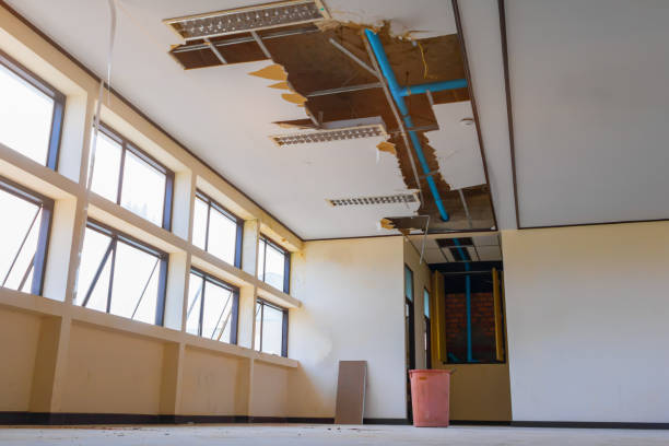 Best Water damage restoration specialists  in Yuma, CO