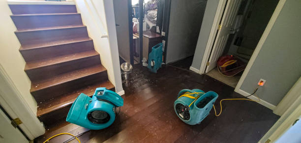 Best Flooded house restoration  in Yuma, CO