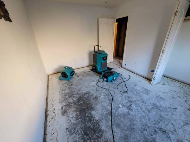 Best Flood damage cleanup  in Yuma, CO