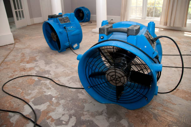 Best Flood restoration services  in Yuma, CO